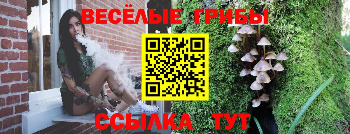 Псилоцибиновые грибы GOLDEN TEACHER  Псилоцибиновые грибы MAGIC MUSHROOMS  Вход с VPN  Нижний Тагил 