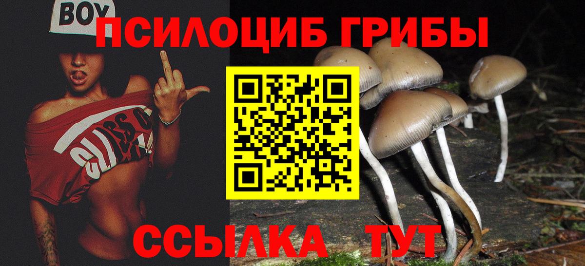 Псилоцибиновые грибы Psilocybine cubensis Нижний Тагил